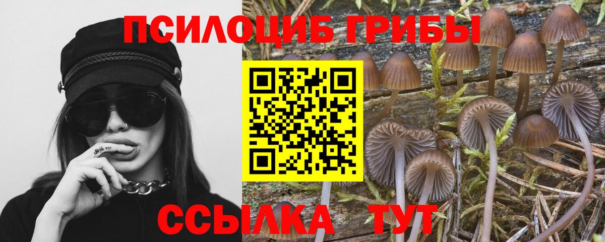 Алапаевск  Псилоцибиновые грибы Cubensis  Вход с VPN 