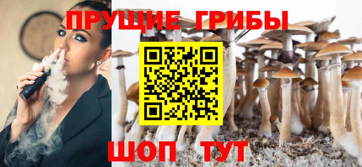 Псилоцибиновые грибы Psilocybe Алапаевск